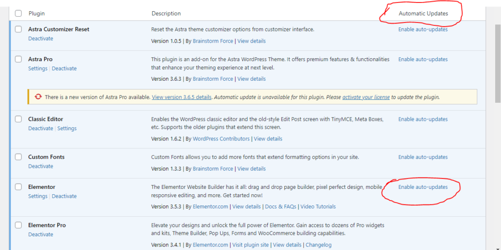 Elementor Update Auto Update Issues