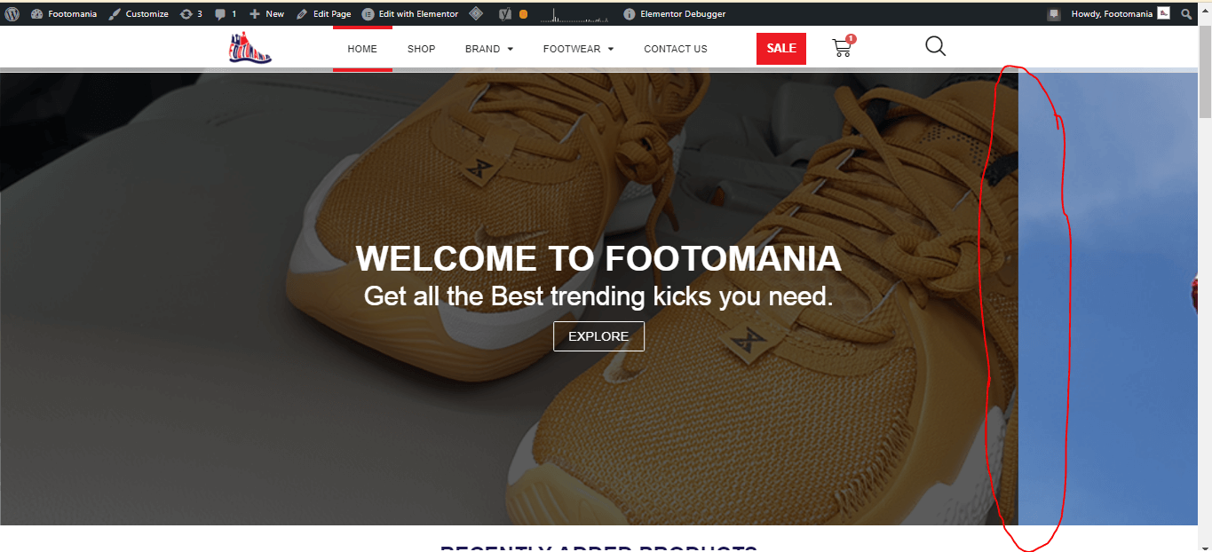 Elementor auto update crashed my website